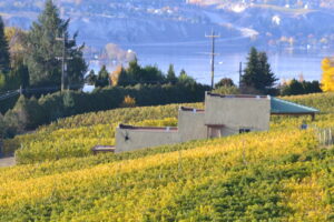 Winerysideview2